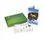 Bean Germination