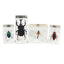 Insect Specimen Set