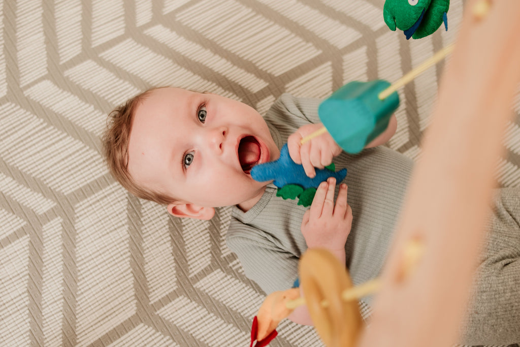 QToys Wooden Baby Gym in use