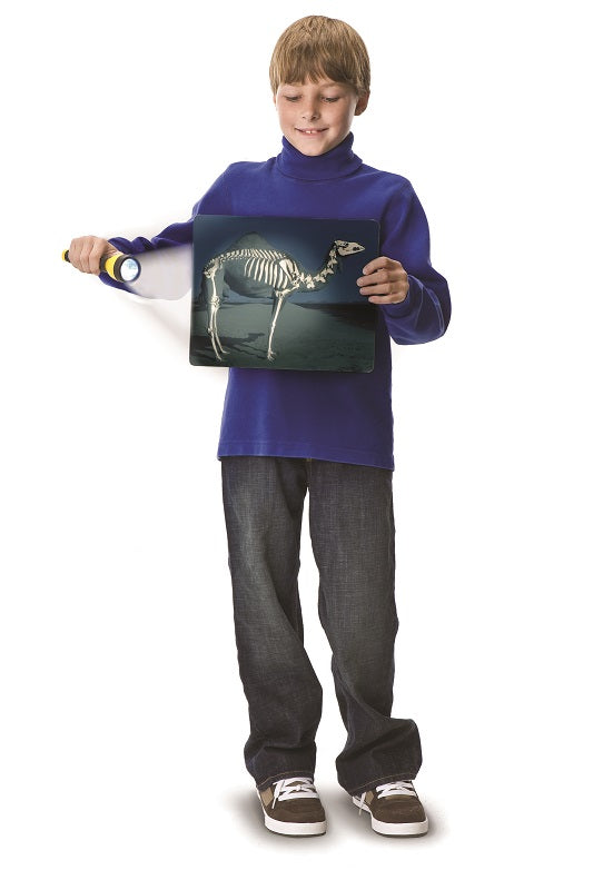Fire Chief Role Play Set Secondary image