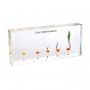 Corn Germination