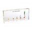Corn Germination