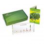 Corn Germination