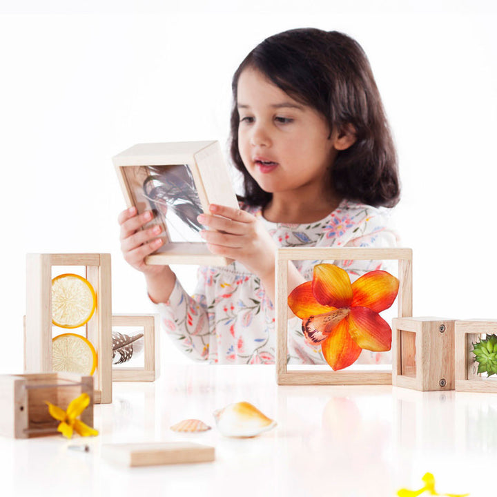 Treasure Blocks Clear